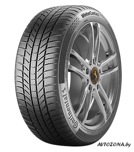 Continental WinterContact TS 870 P 215/50R17 95H